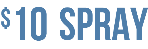 $10 Spray@2x Beaches Passport Section Header
