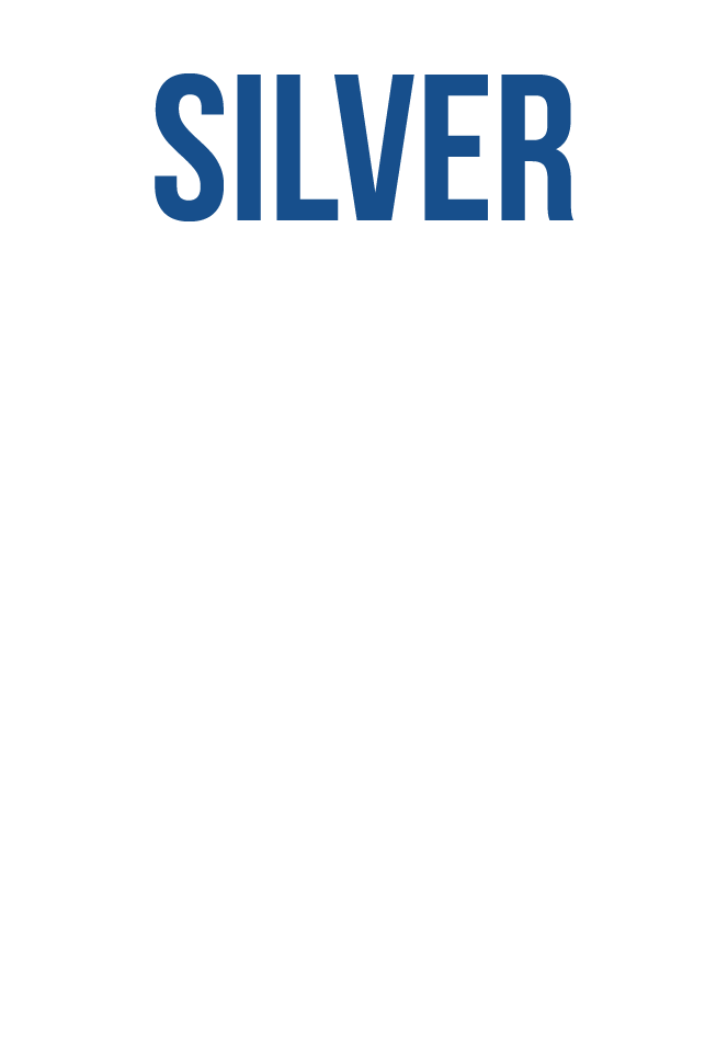 Silver_10Pass_3.0